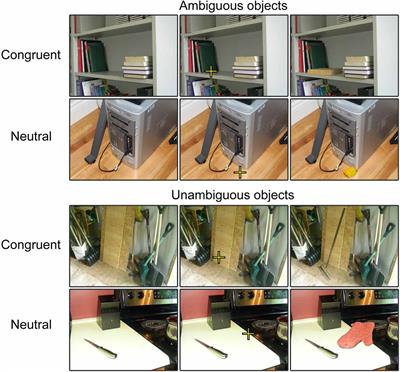 Heightened Responses of the Parahippocampal and Retrosplenial Cortices during Contextualized Recognition of Congruent Objects